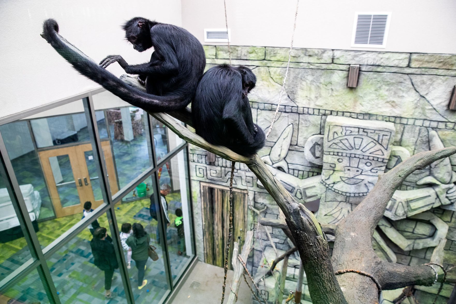 20190510_new_lincolnzooBJS03